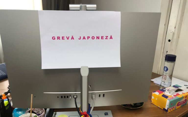 Greva-japoneza-SGG-e1716272492825-768x481